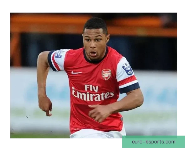 拜仁球星格纳布里再次受重伤赛季前景蒙阴影